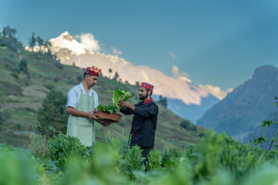 Sissu premium stay reviews